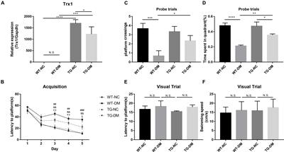 Thioredoxin-1 Is a Target to Attenuate Alzheimer-Like Pathology in Diabetic Encephalopathy by Alleviating Endoplasmic Reticulum Stress and Oxidative Stress